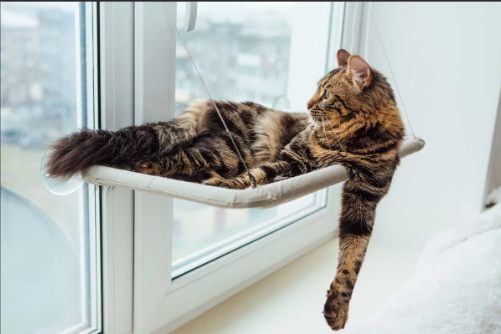 Hamac Fenêtre Premium pour Chat – Confort Panoramique & Repos Sécurisé